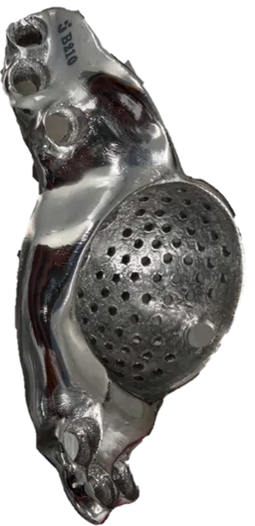 Printed hip model