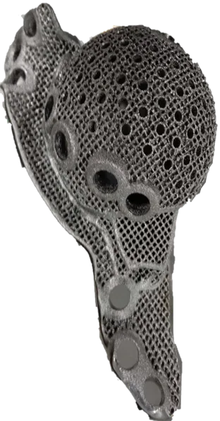 Implant on the model