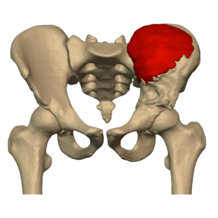 Preoperative imaging