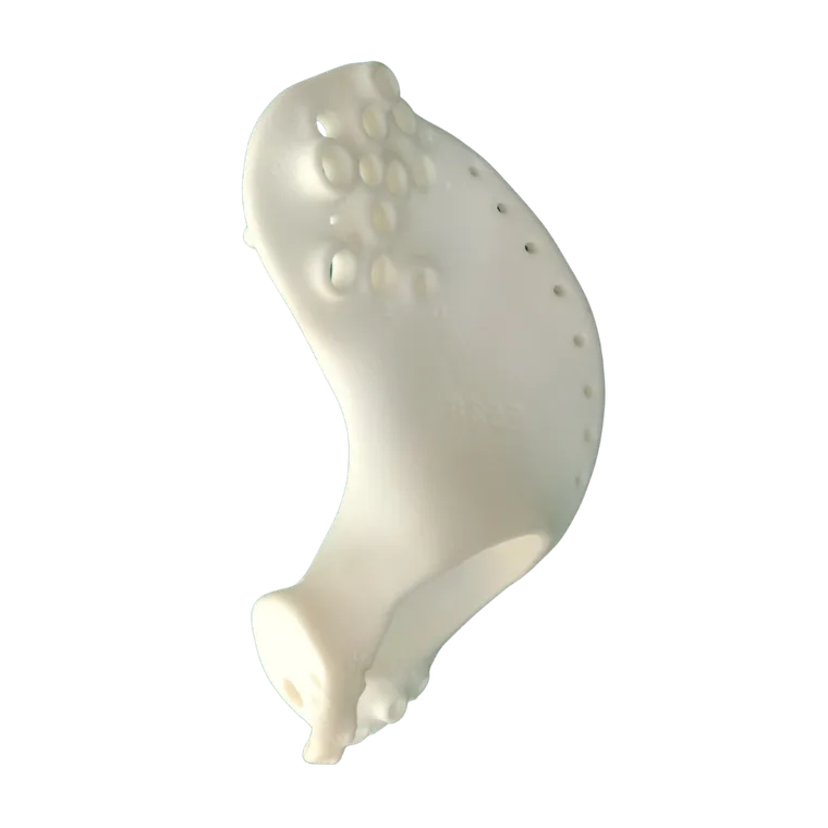 Implant in situ
