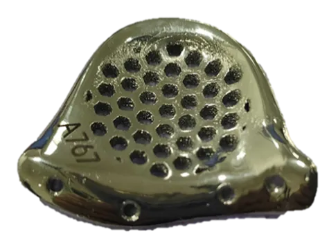 Printed models and titanium implant