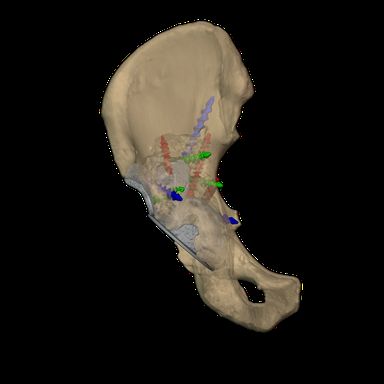 Screw trajectories planned against available bone stock