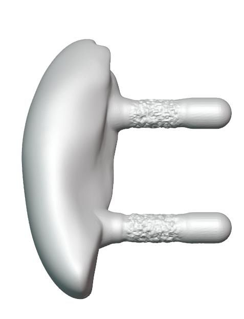 Peg geometry with polished locating length