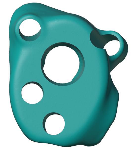 Implant face — central taper and peripheral screw holes