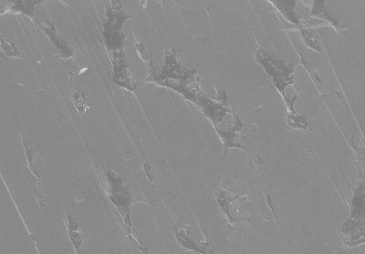SEM of the polished surface